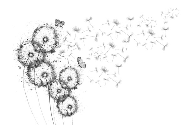 Group of butterflies flying in the air u31381p 600x400 - Group of butterflies flying in the air - tegory