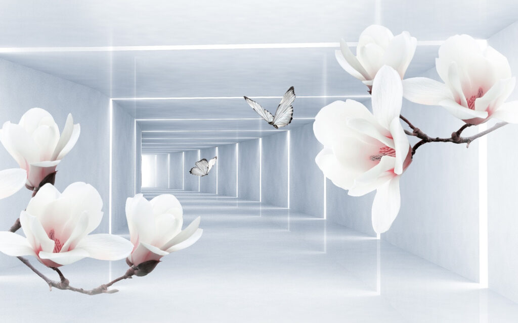 White flowers and butterflies in a room White flowers and butterflies in a room
