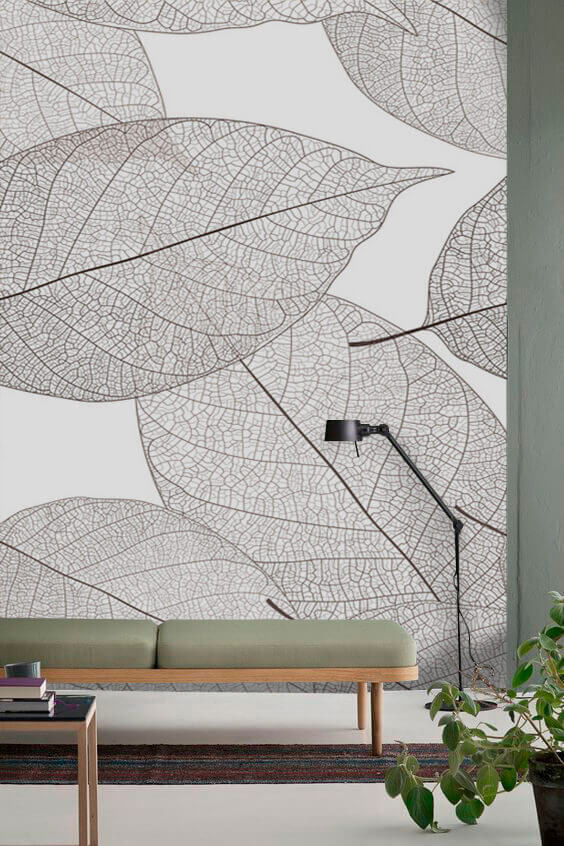Delicate leaf patterns in white space Delicate leaf patterns in white space