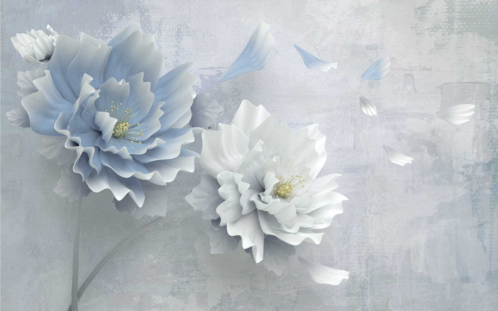 White and blue flowers