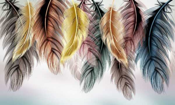 Group of colorful feathers