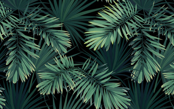 Tropical leaves on a dark background Tropical leaves on a dark background