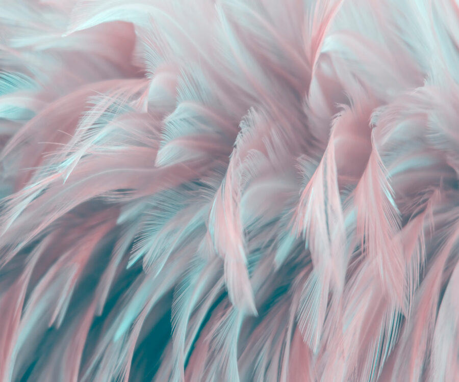 Delicate feathers in soft colors.