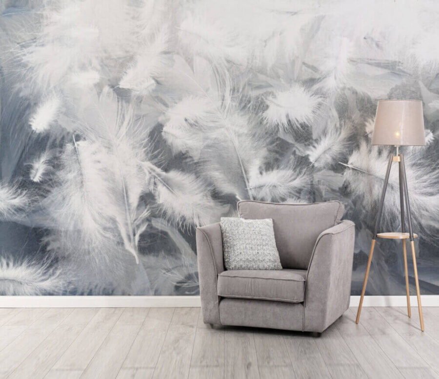 White feathers on a window