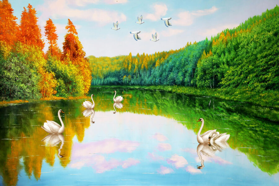 Painting of swans on a lake u45771p 900x600 - Painting of swans on a lake - tegory
