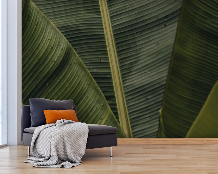 Wall murals Lush green leaves with textured patterns