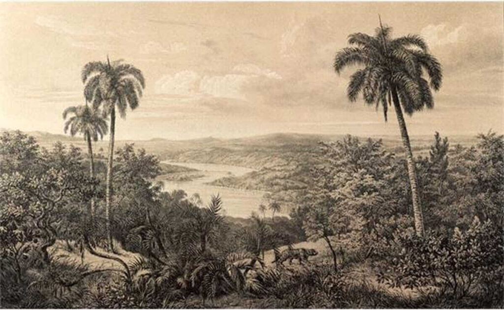 Landscape with trees and a river Landscape with trees and a river