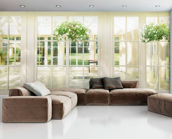 White patio door with glass windows and a potted plant from it White patio door with glass windows and a potted plant from it