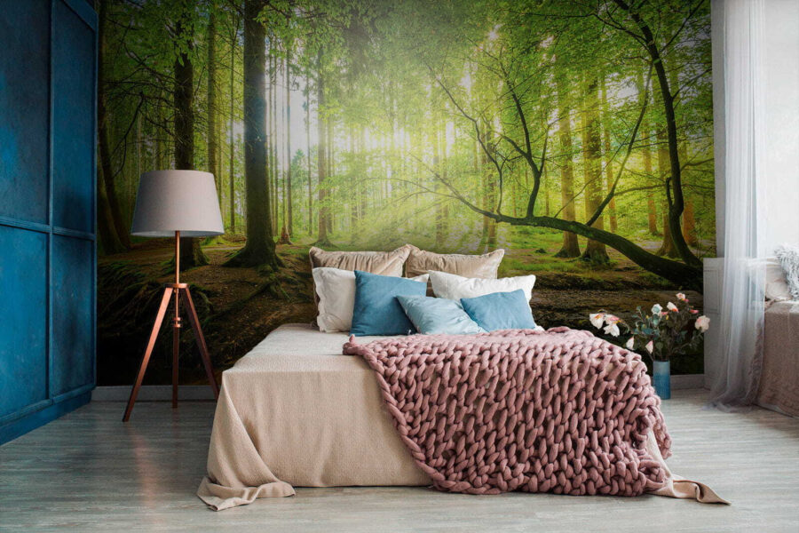 Wall murals Stream in a forest - Image 2
