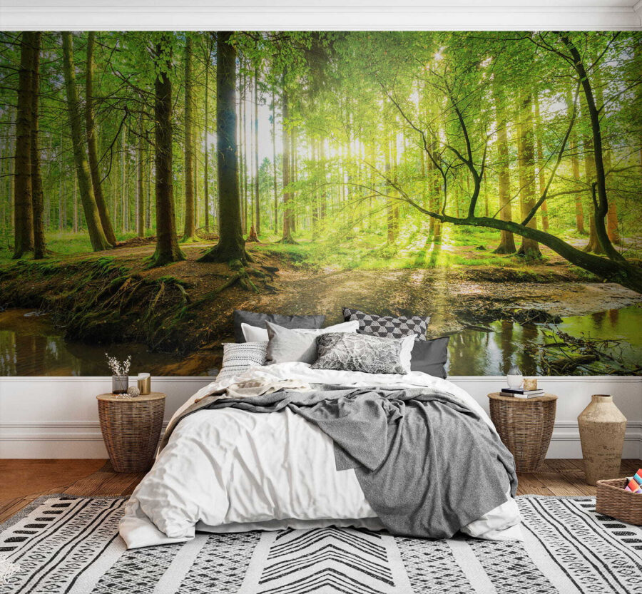 Wall murals Stream in a forest - Image 3