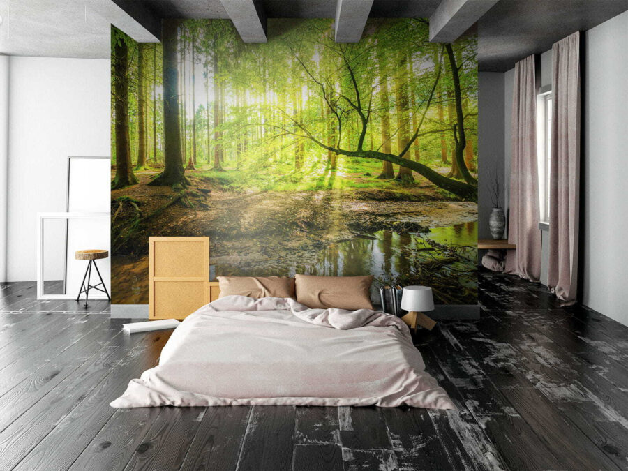 Wall murals Stream in a forest - Image 4