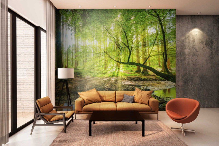 Wall murals Stream in a forest - Image 5