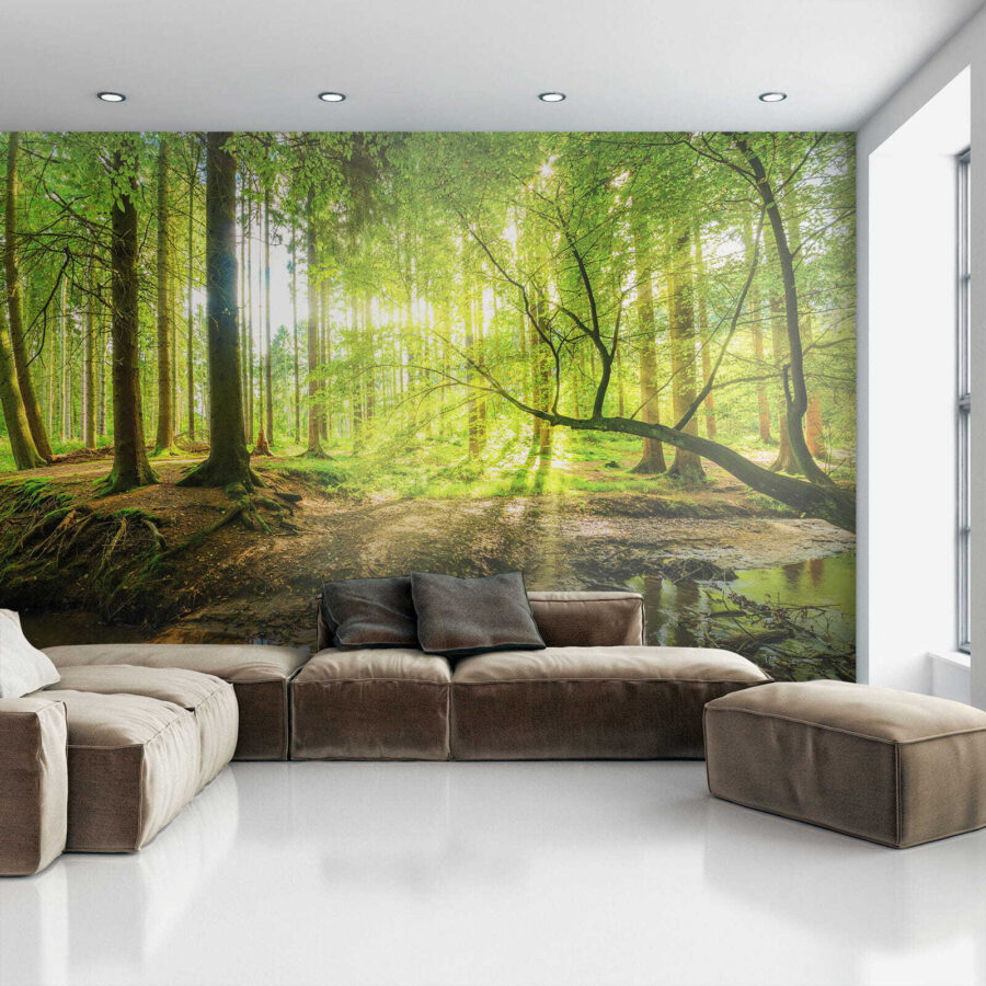Wall murals Stream in a forest - Image 6