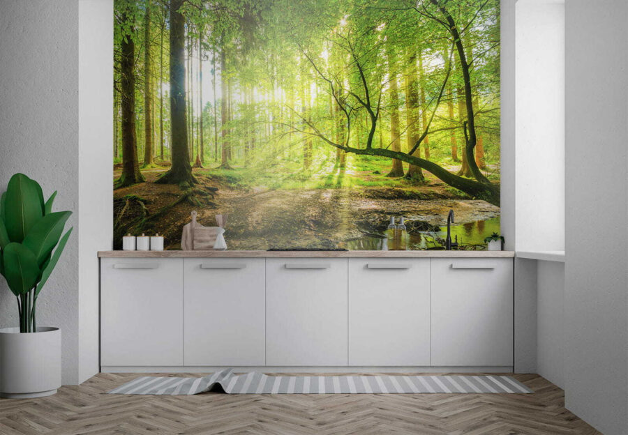 Wall murals Stream in a forest - Image 7