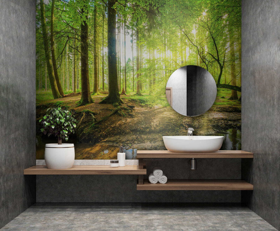 Wall murals Stream in a forest - Image 8