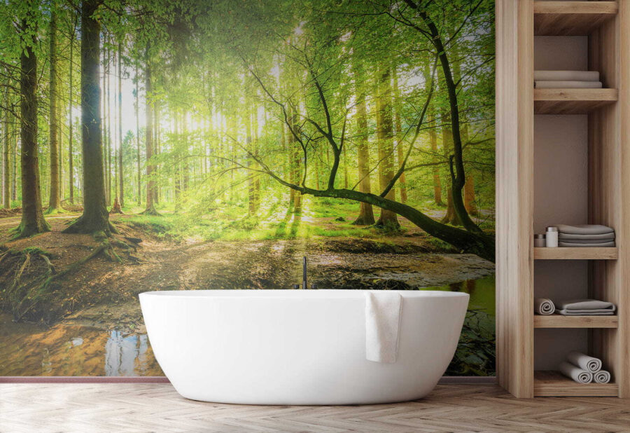Wall murals Stream in a forest