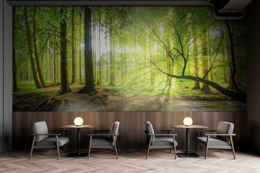 Wall murals Stream in a forest - Image 9