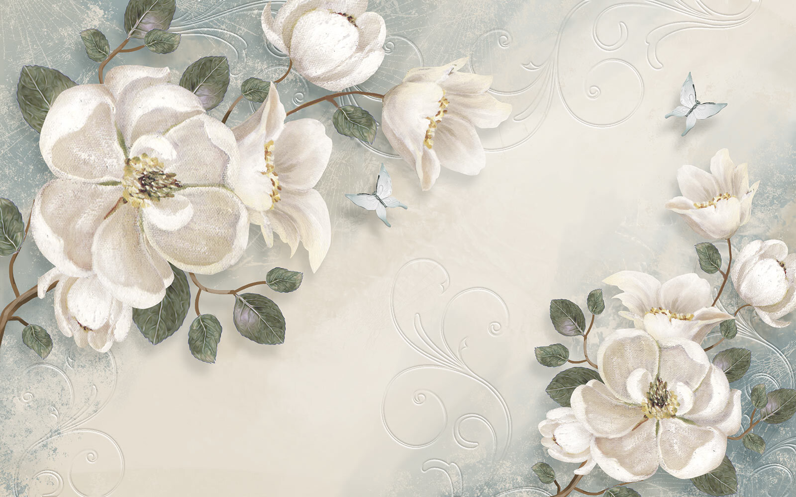 u52620p - White flowers and leaves on a white background - tegory