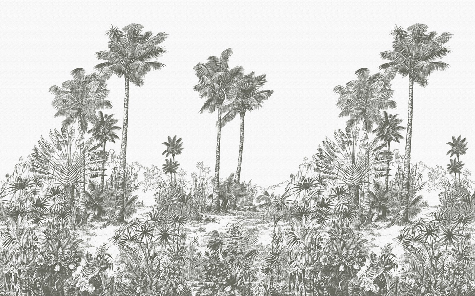Drawing of palm trees u52638p - Drawing of palm trees - tegory
