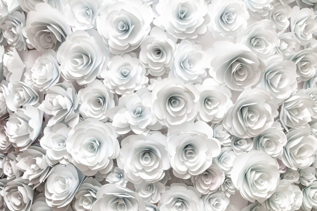 u56040p 1024x683 - Group of white flowers - tegory