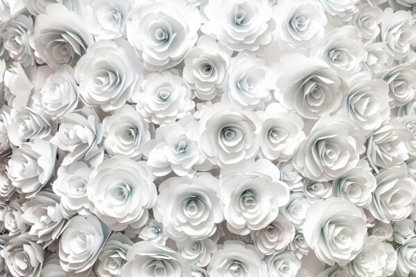 Group of white flowers u56040p 600x400 - Group of white flowers - tegory