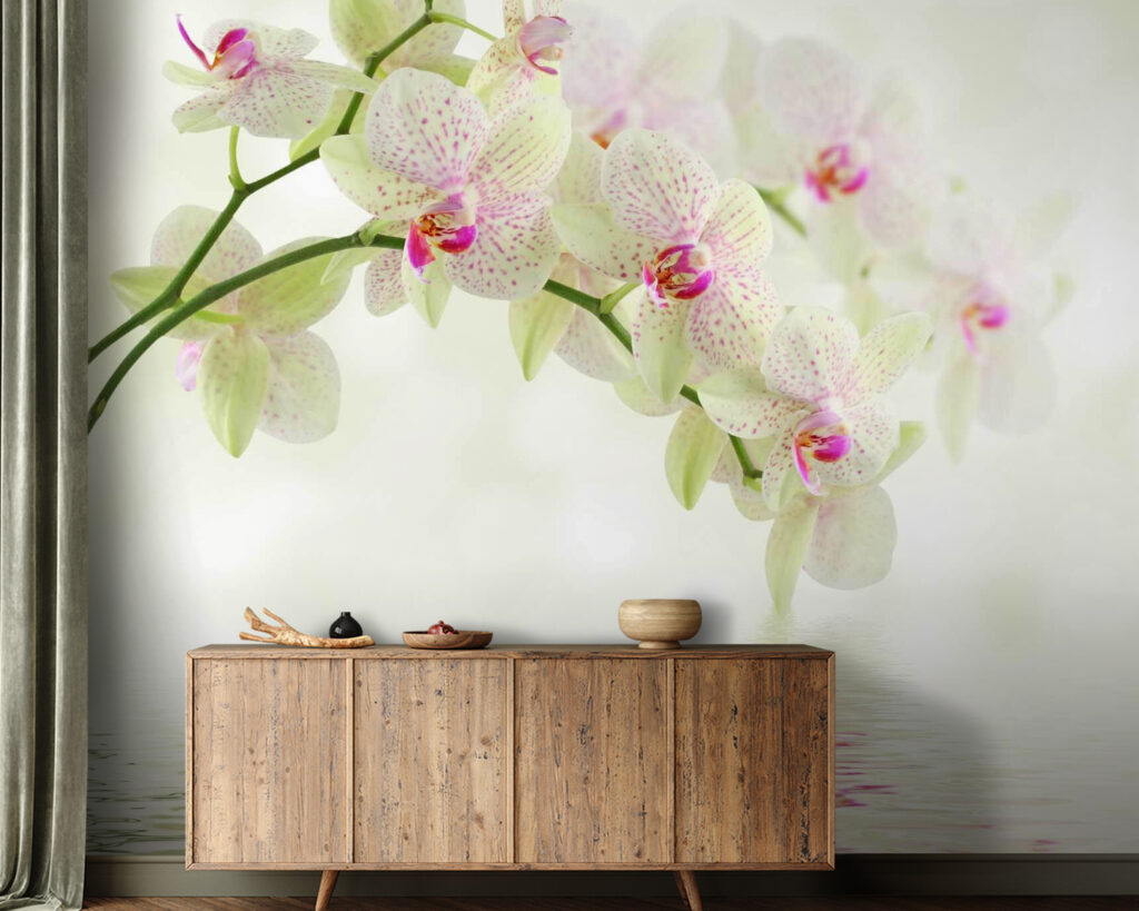 Delicate orchids over gentle water Delicate orchids over gentle water