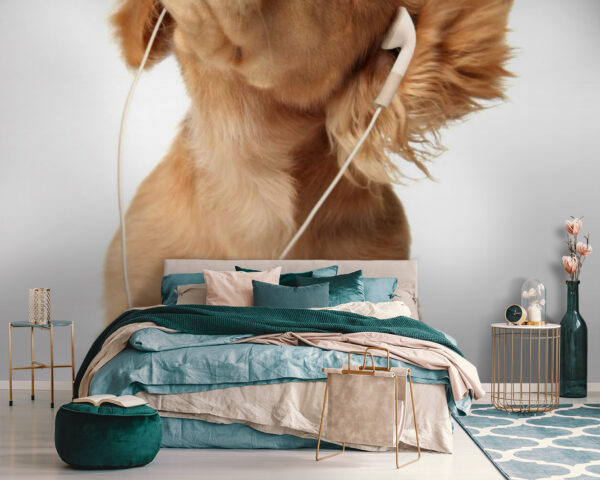 Dog with earphones on u56551pib111m 600x480 - Dog with earphones on - tegory