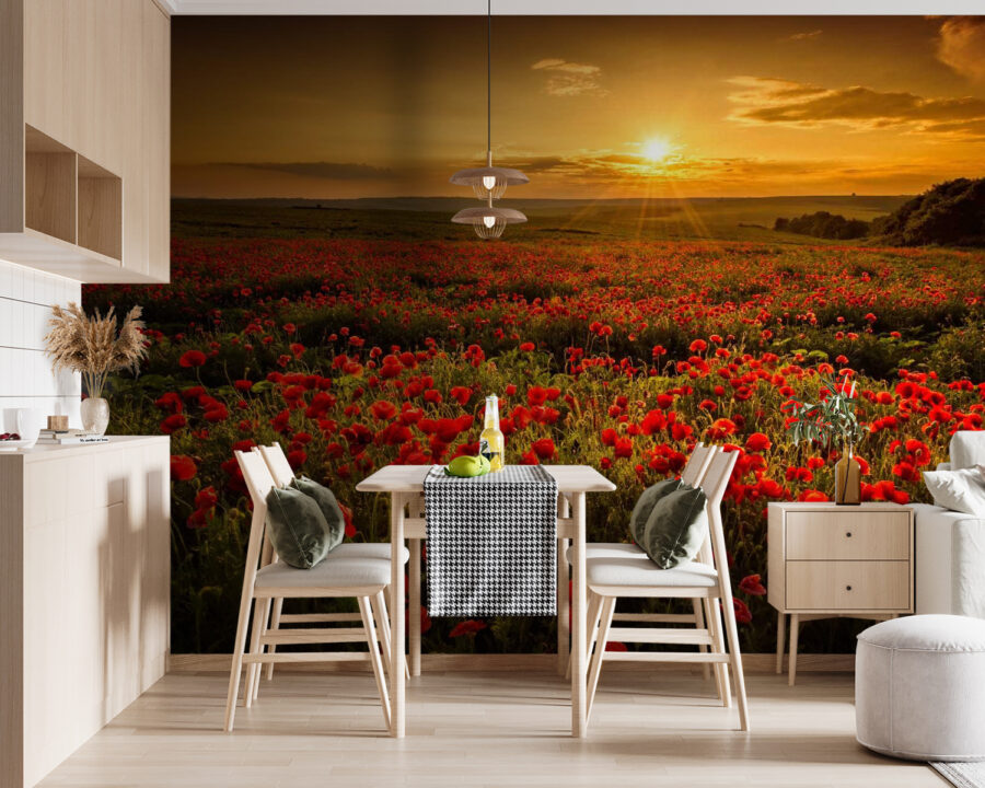 Field of red flowers