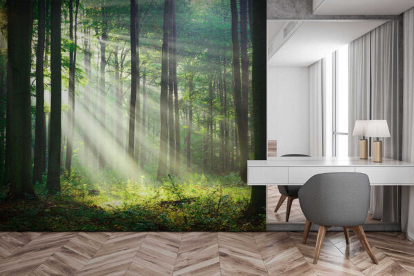 Wall murals Wall murals Sunlight shining through trees (SKU: u56787)