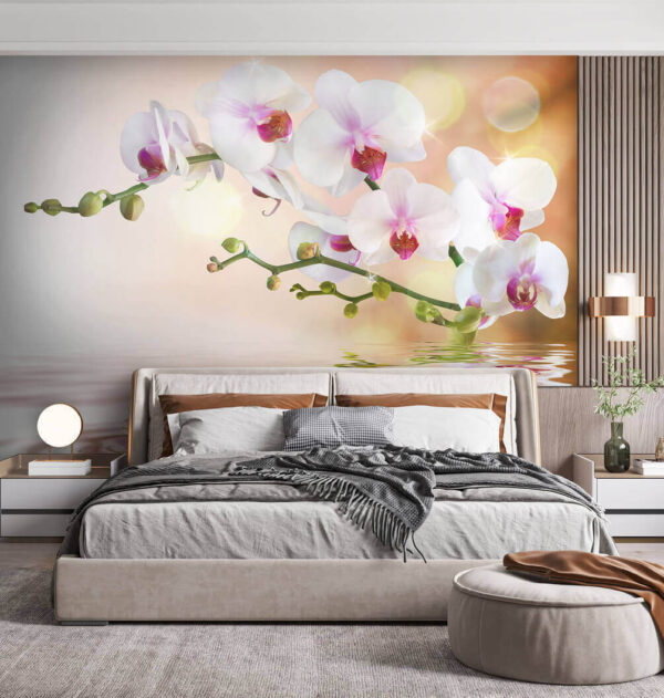 White orchids on a branch with water ripples White orchids on a branch with water ripples
