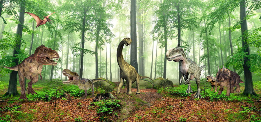 Group of dinosaurs in a forest