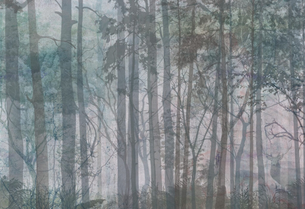 Group of trees in a forest