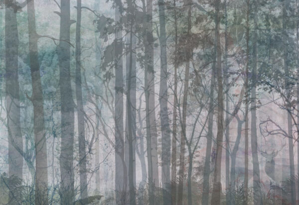 Group of trees in a forest