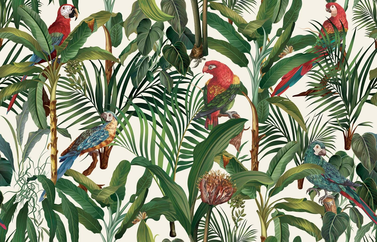 Wallpaper with birds and plants u60117p - Wallpaper with birds and plants - tegory