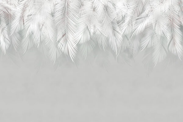 White feather pattern on a gray background White feather pattern on a gray background