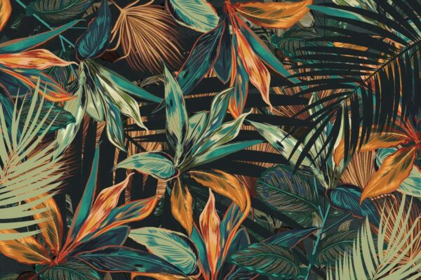 Colorful leaves on a black background u60215p 600x399 - Colorful leaves on a black background - tegory