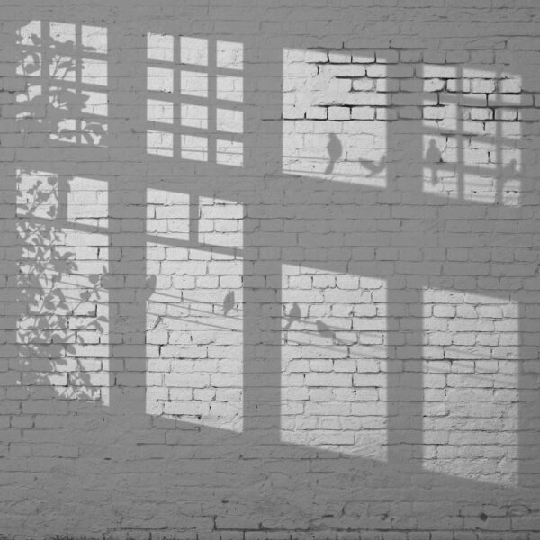 u60229p 600x600 - Wall with windows and birds shadow - tegory