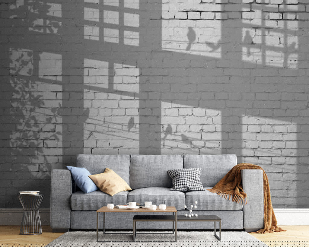 u60229pig54 1024x819 - Wall with windows and birds shadow - tegory