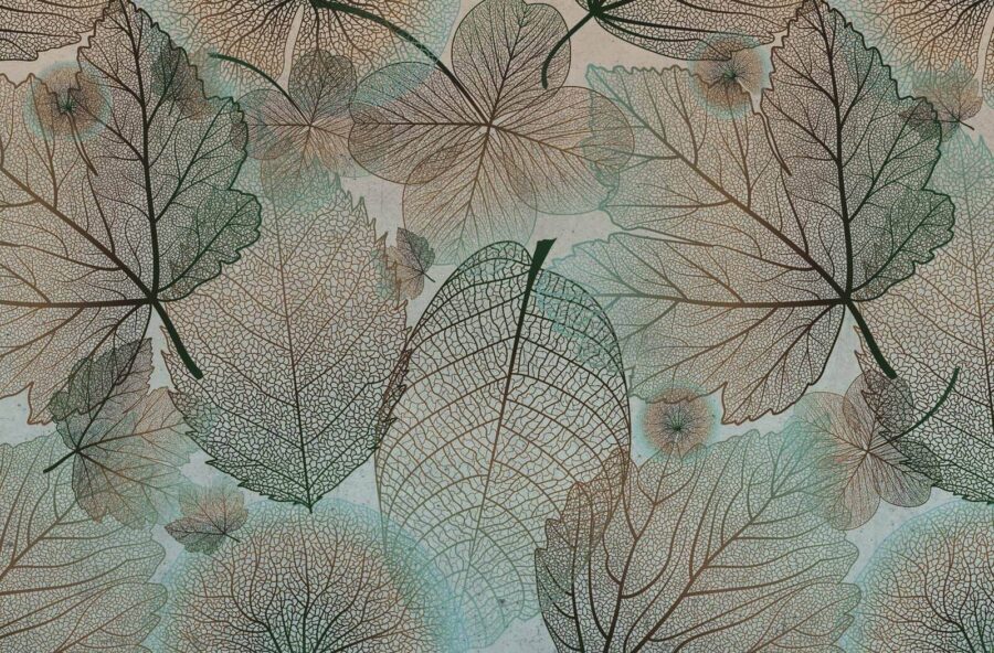 Natural patterns in delicate foliage u60549p 900x592 - Natural patterns in delicate foliage - tegory