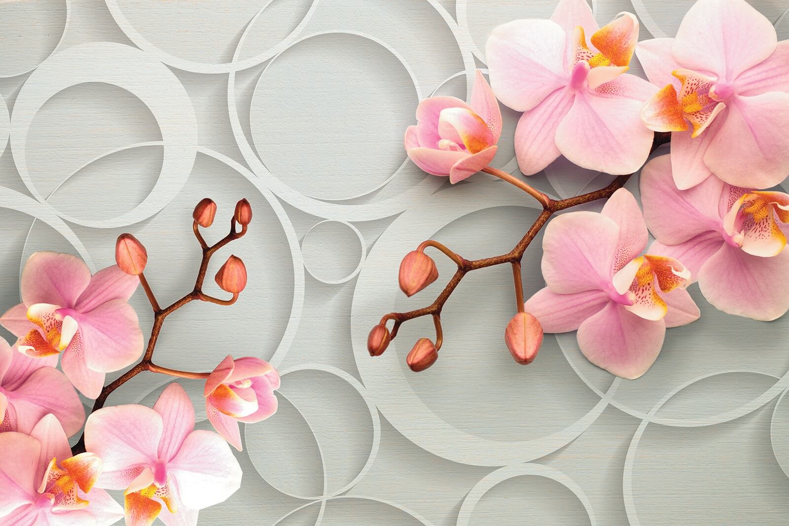 u66595p - Delicate blooms on a soft backdrop - tegory