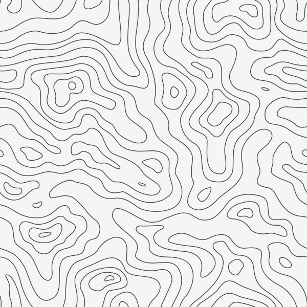 Black and white contour lines