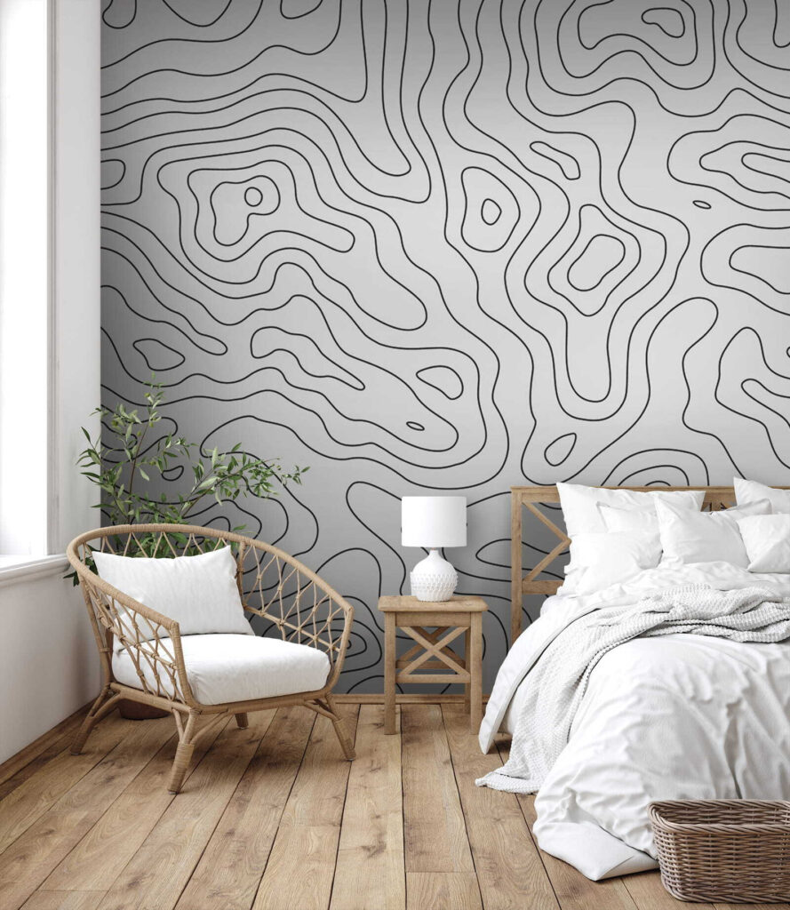 Black and white contour lines