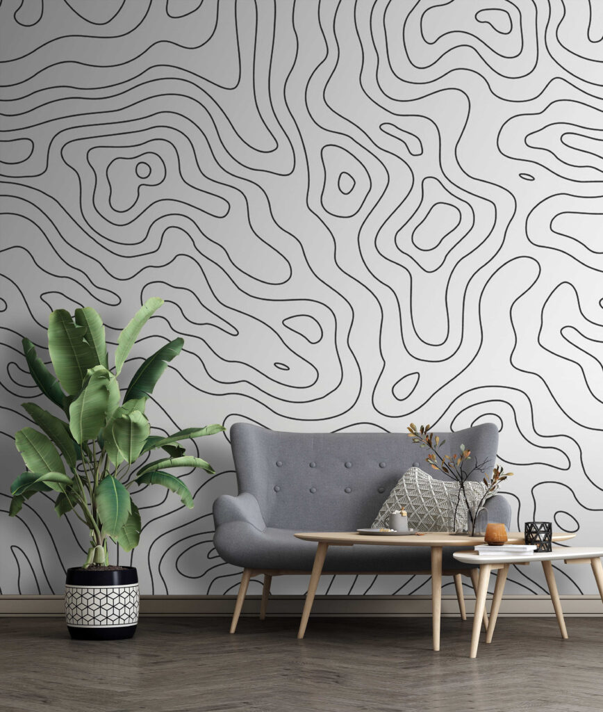 Black and white contour lines