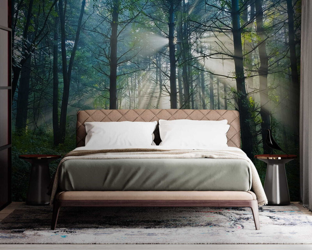 u70959pib1m 1024x819 - Sun shining through trees in a forest - tegory