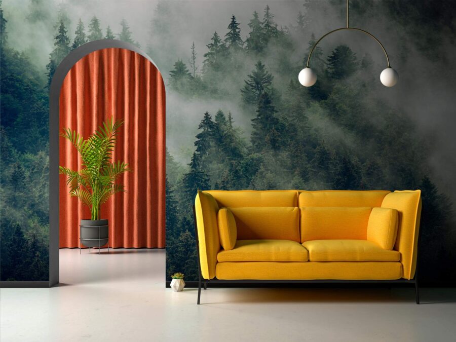 Wall murals Forest of trees with fog
