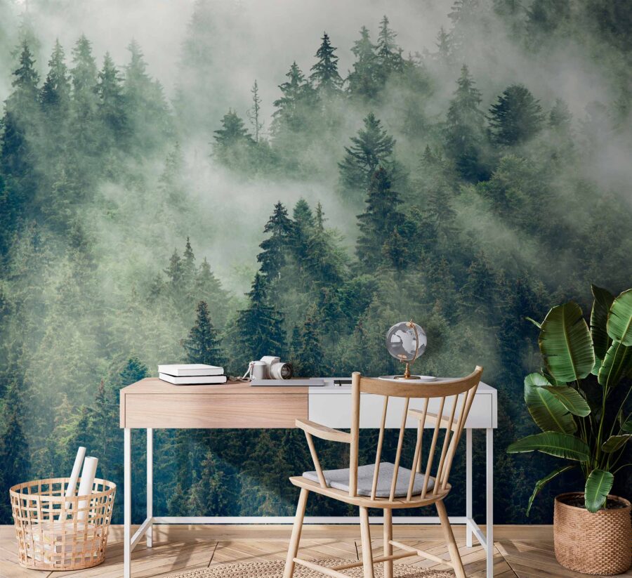 Wall murals Forest of trees with fog - Image 3