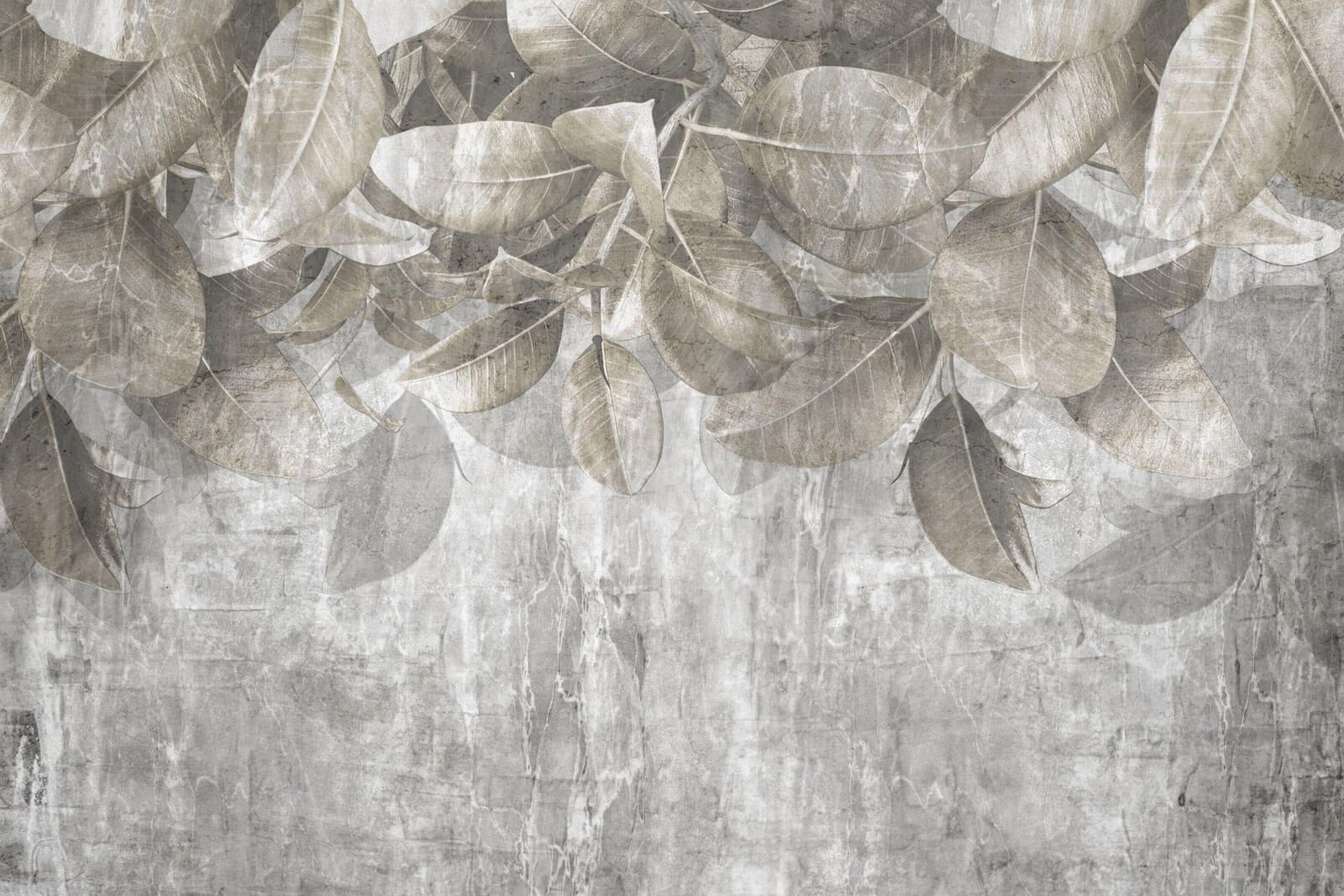 Gentle leaves on textured backdrop u73887p - Gentle leaves on textured backdrop - tegory