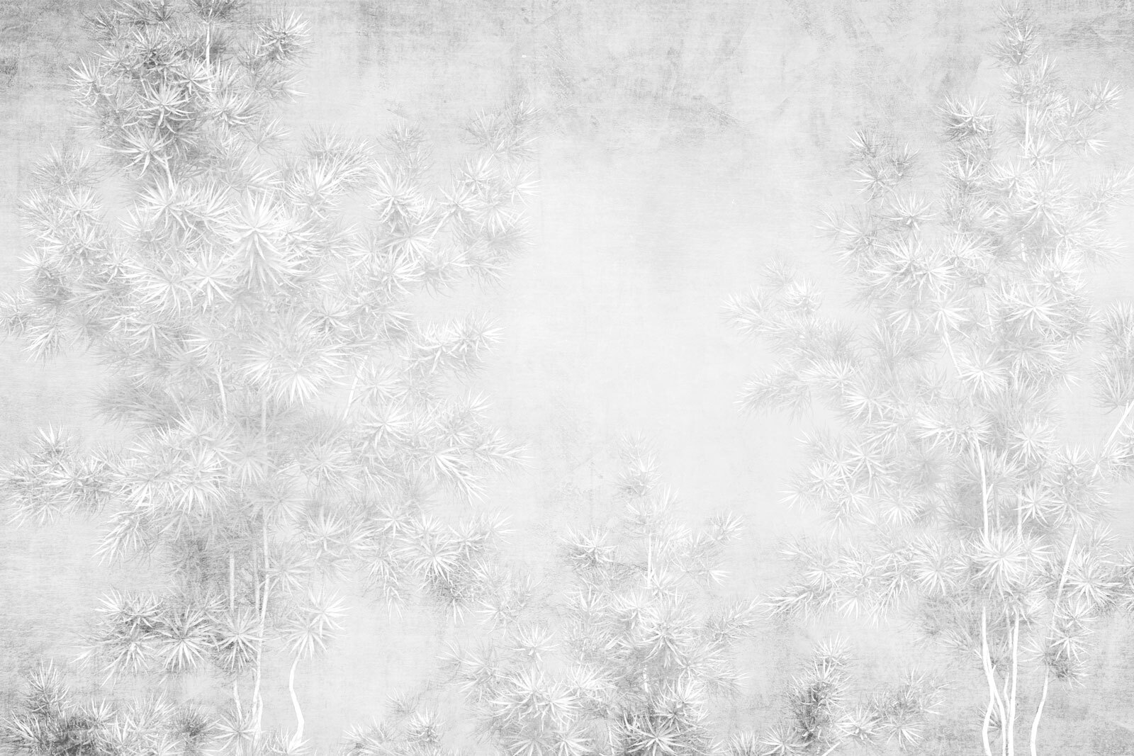 White background with trees u73978p - White background with trees - tegory