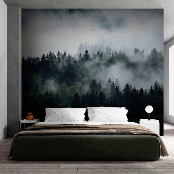 Foggy forest with trees Foggy forest with trees