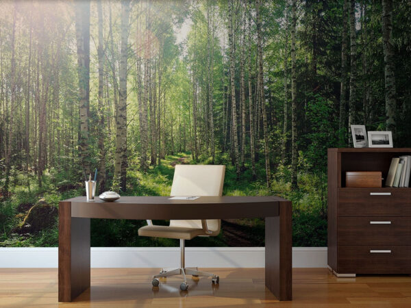 Path through a forest of trees Wall murals Path through a forest of trees